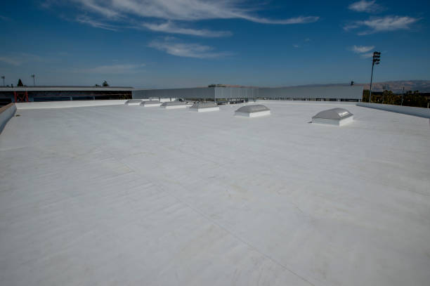 Best Roof Insulation Installation  in Willcox, AZ