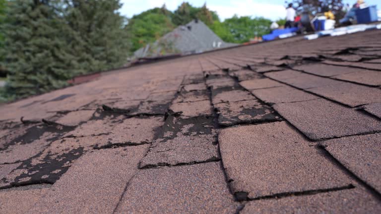 Best Metal Roofing Installation  in Willcox, AZ
