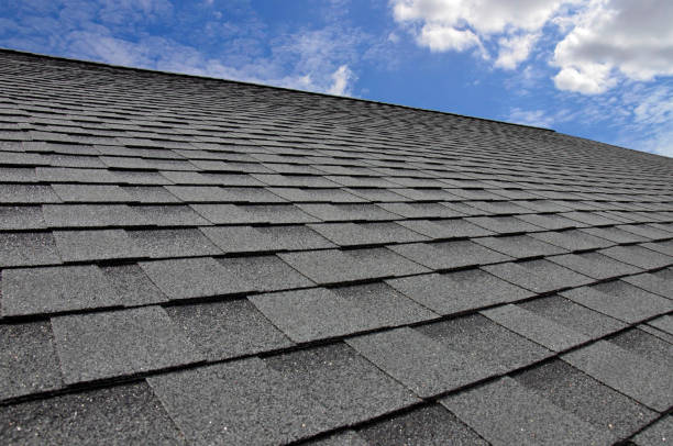 Best Flat Roofing  in Willcox, AZ