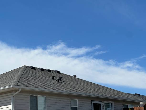 Fast & Reliable Emergency Roof Repairs in Willcox, AZ
